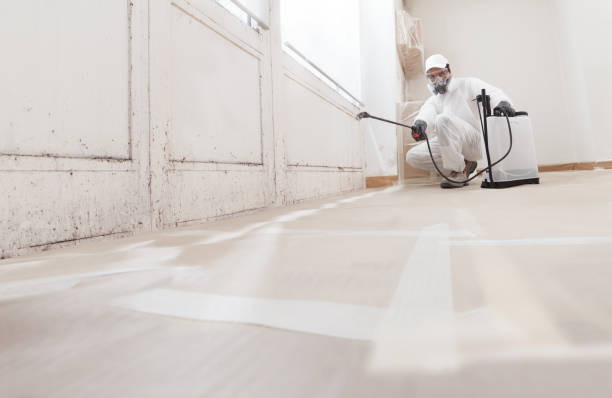 24/7 Emergency Mold Cleanup experts in Decatur, IL