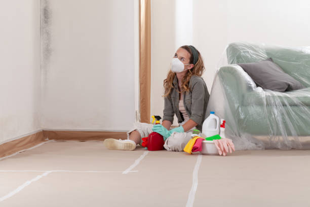 Reliable Mold Cleanup contractor in Decatur, IL by WQB Mold Removal